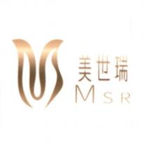 美世瑞 MSR 及圖