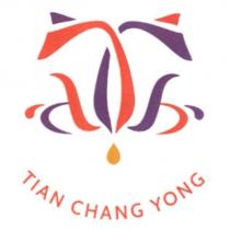TIAN CHANG YONG 及圖