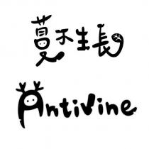蔓不生長 Antivine 及圖