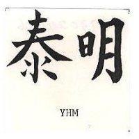 泰明 YHM 