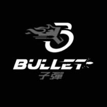 BULLET 子彈及圖