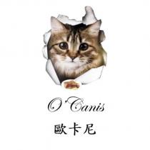 歐卡尼 O'Canis 及圖