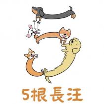 5 根長汪及圖