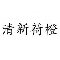 清新荷橙