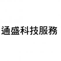 通盛科技服務