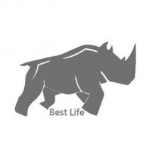 Best Life 及圖