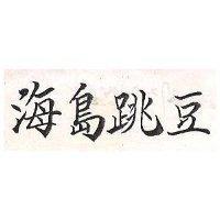 海島跳豆