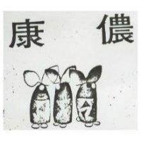 康儂及圖