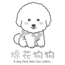 棉花狗狗 A dog that looks like cotton.及圖