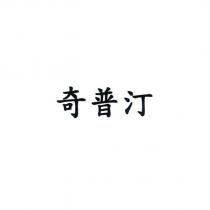 奇普汀