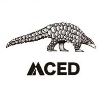 MCED 及圖
