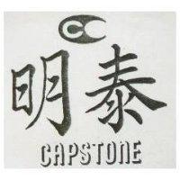 明泰 CAPSTONE 及圖 