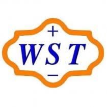 + WST -及圖