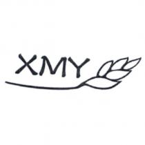 XMY 及圖