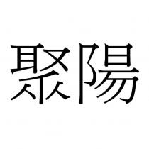 聚陽