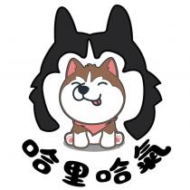 哈里哈氣及圖