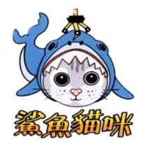 鯊魚貓咪及圖