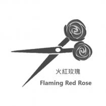 火紅玫瑰 Flaming Red Rose 及圖