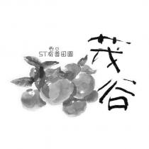 ST 有善田園茂谷設計圖