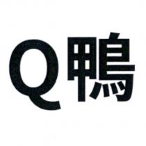 Q 鴨