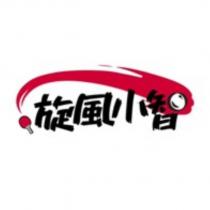 旋風小智及圖