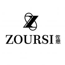 佐思 ZOURSI 及圖