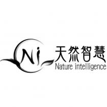 天然智慧 Nature intelligence 及圖