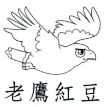 老鷹紅豆及圖