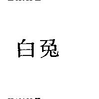 白兔