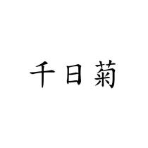 千日菊