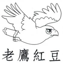 老鷹紅豆及圖