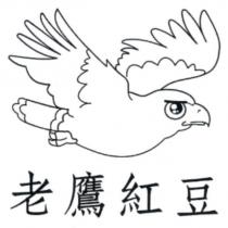 老鷹紅豆及圖