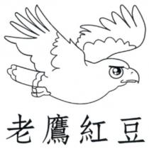 老鷹紅豆及圖