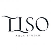 TTSO 設計圖