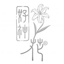 好神花及圖