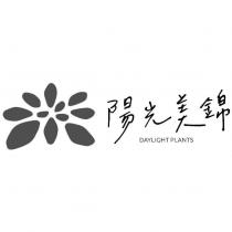 陽光美錦 DAYLIGHT PLANTS 及圖