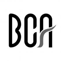 BCA 設計字