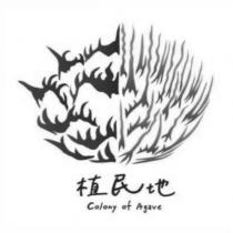 植民地 Colony of Agave 及圖