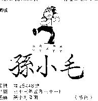 孫小毛及圖