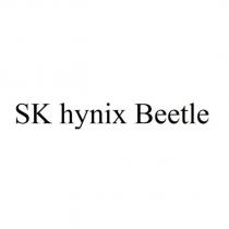 SK hynix Beetle