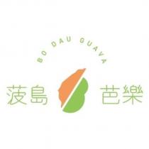 菠島芭樂 BO DAU GUAVA 及圖