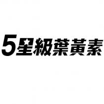 5 星級葉黃素設計字