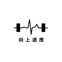 向上適應及圖