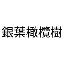 銀葉橄欖樹