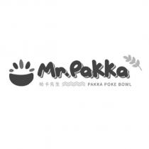 MR.PAKKA 帕卡先生 PAKKA POKE BOWL 及圖