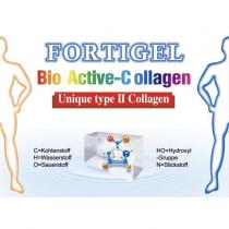 FORTIGEL Bio Active Collagen 及圖