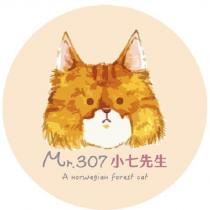 Mr.307 小七先生 A norwegian forest cat 及圖