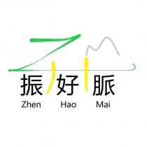 振好脈 Zhen Hao Mai 及圖