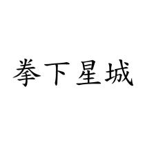 拳下星城