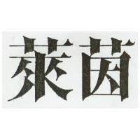 萊茵